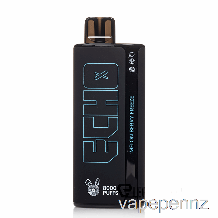 ECHO 8000 Disposable Melon Berry Freeze VAPE NZ